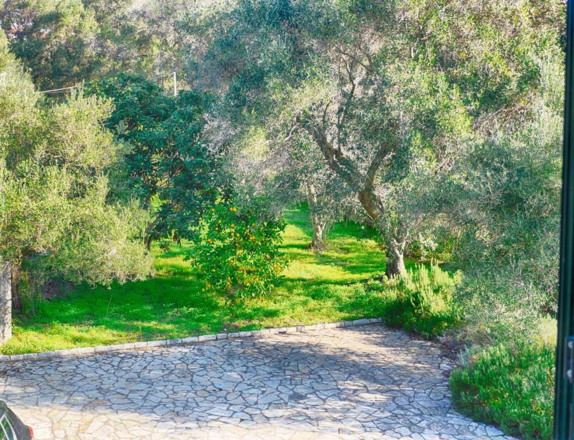 Villa Afionas - 3 Minutes From The Beach With Heated Eco-Pool And Sunset View Eksteriør billede